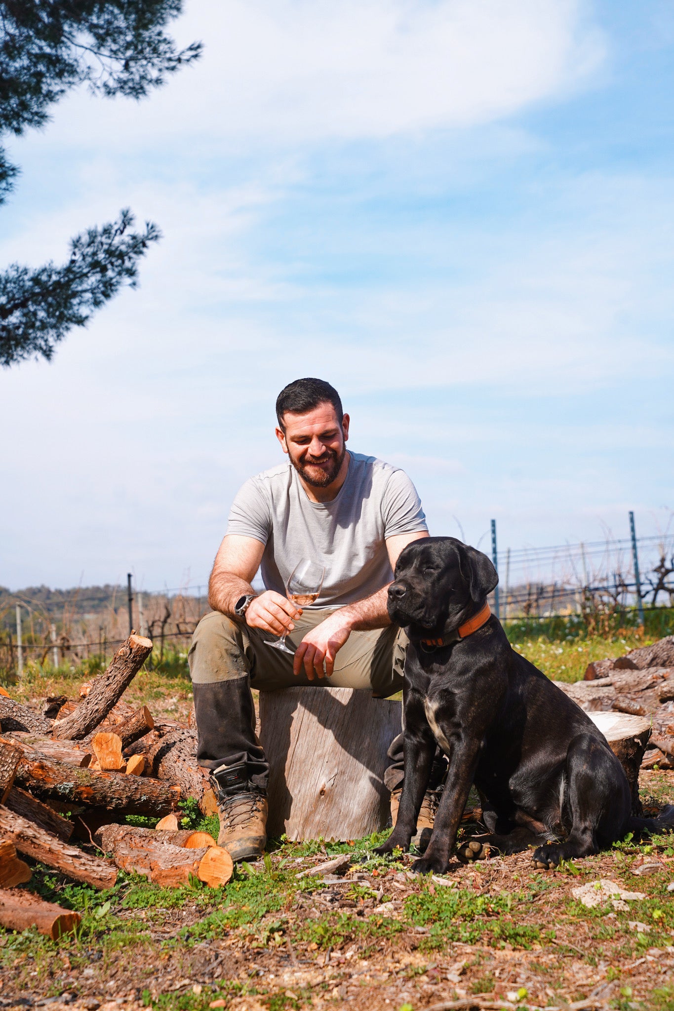 Pierre Devictor, troisième génération de vignerons, engagé dans l'agriculture biologique.