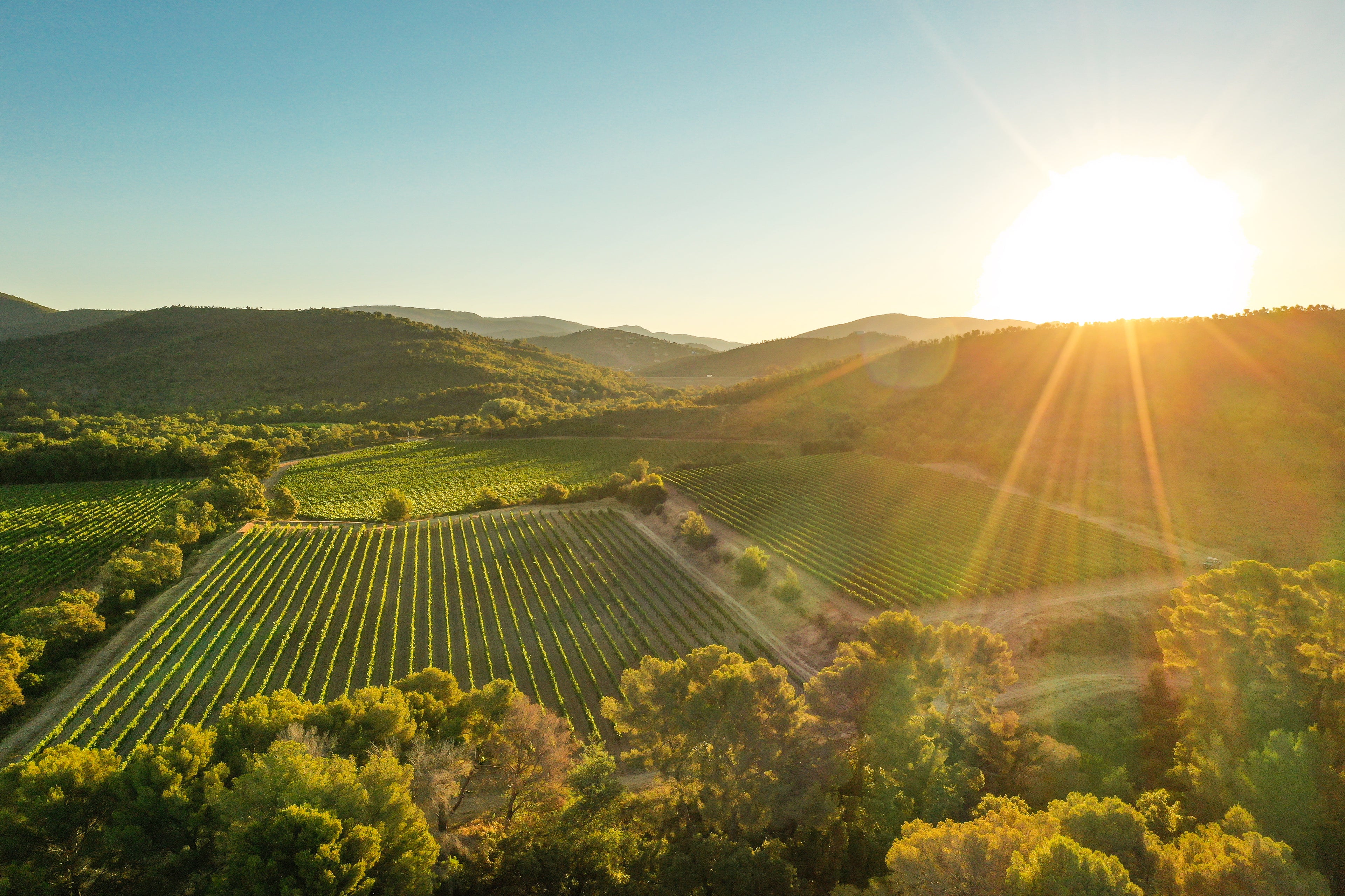 Panorama aérien du Domaine de la Sanglière à Bormes-les-Mimosas au lever du soleil. Un vignoble de bord de mer niché entre les collines et la Méditerranée, certifié HVE3 et AOP Côtes de Provence La Londe.