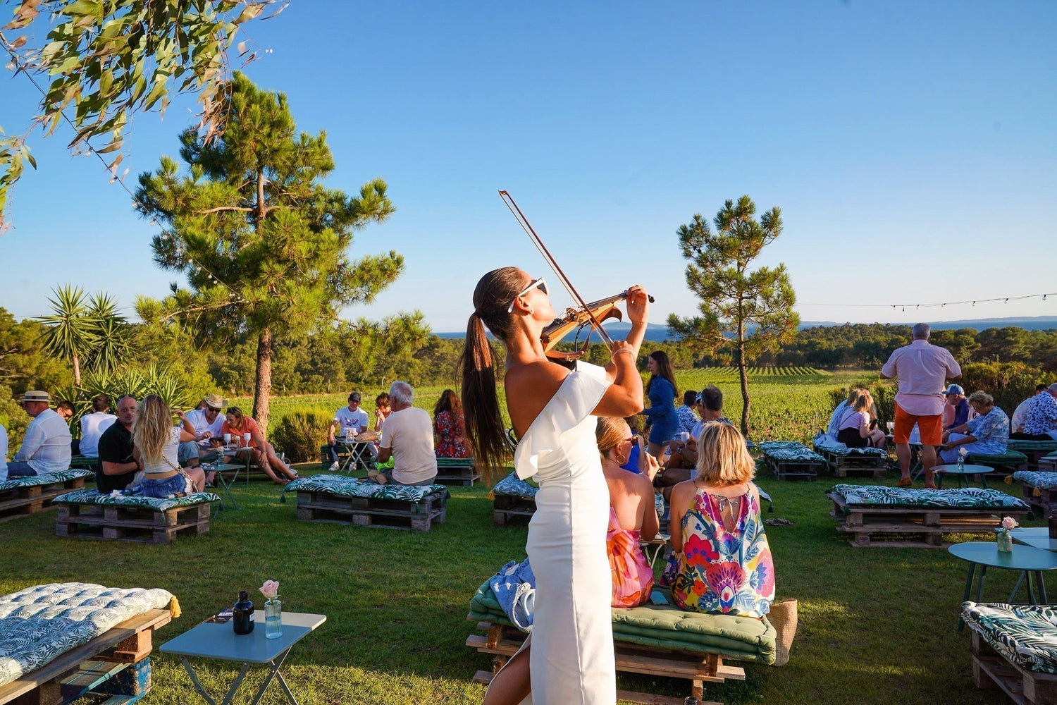 Soirées musicales dans les vignes : Le rendez-vous magique de votre été 2026