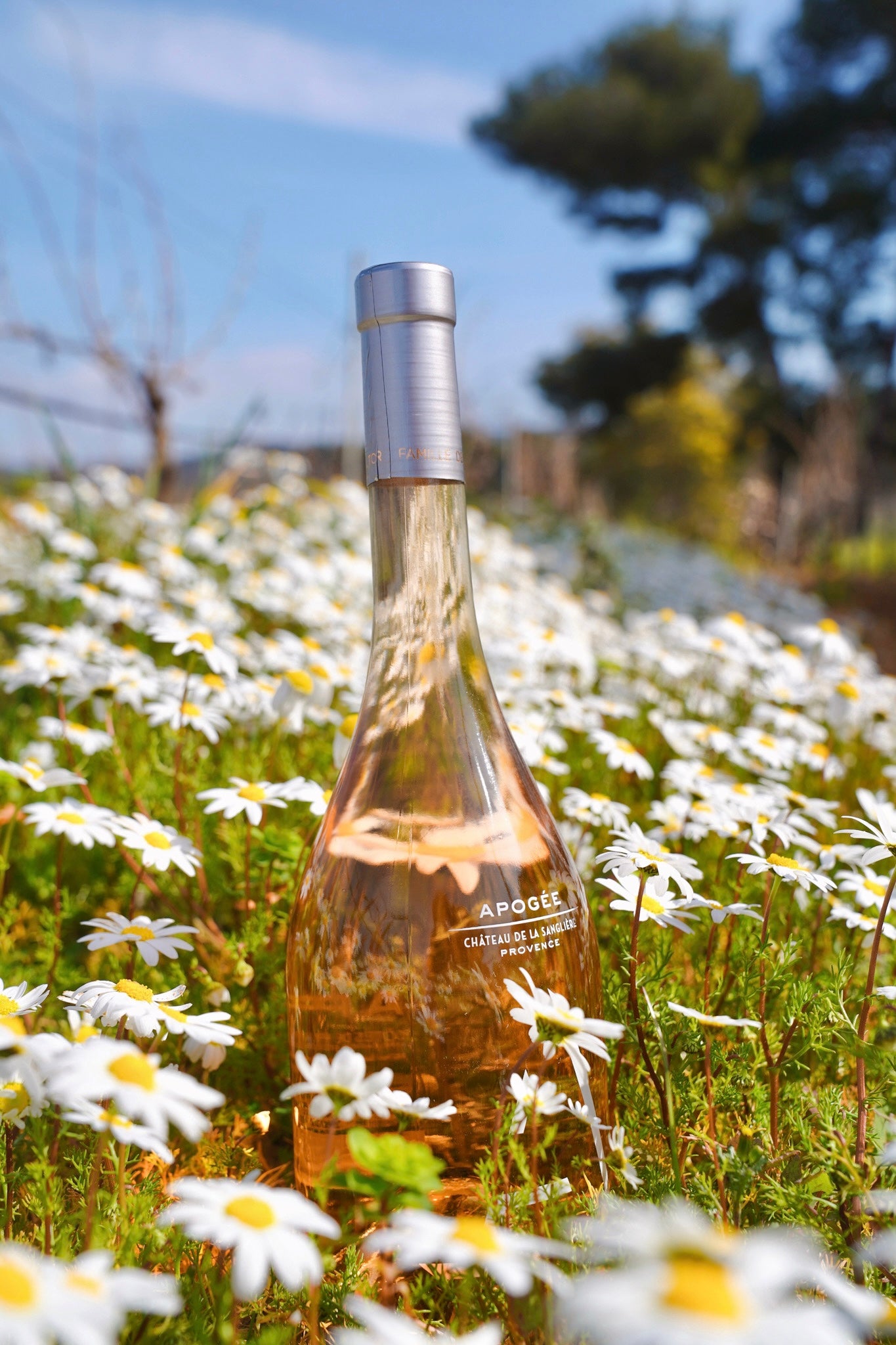Apogée Rosé – Côtes de Provence - La Londe Organic