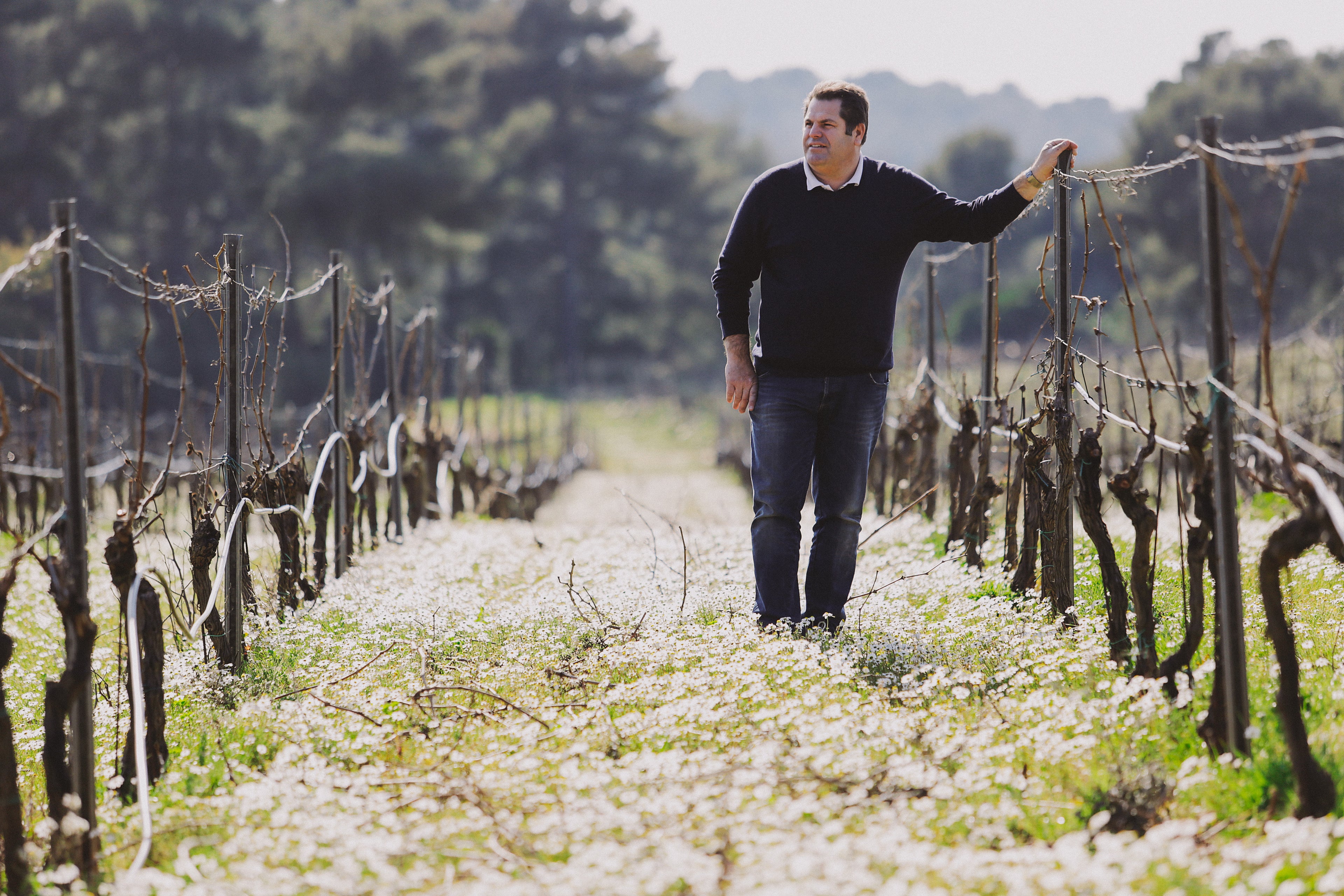 Portrait de Rémy Devictor marchant dans les vignes en fleurs du Domaine de la Sanglière en 1989. Illustration de l'engagement de la deuxième génération à Bormes-les-Mimosas.