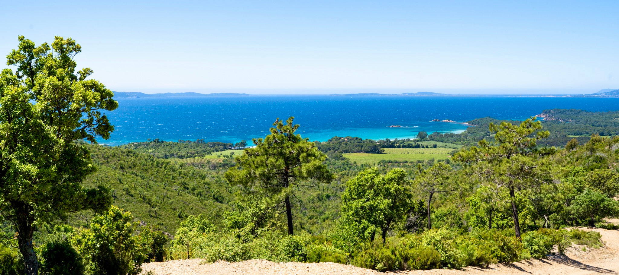 Panorama du vignoble de la Sanglière avec vue sur la Méditerranée et les collines de Bormes.